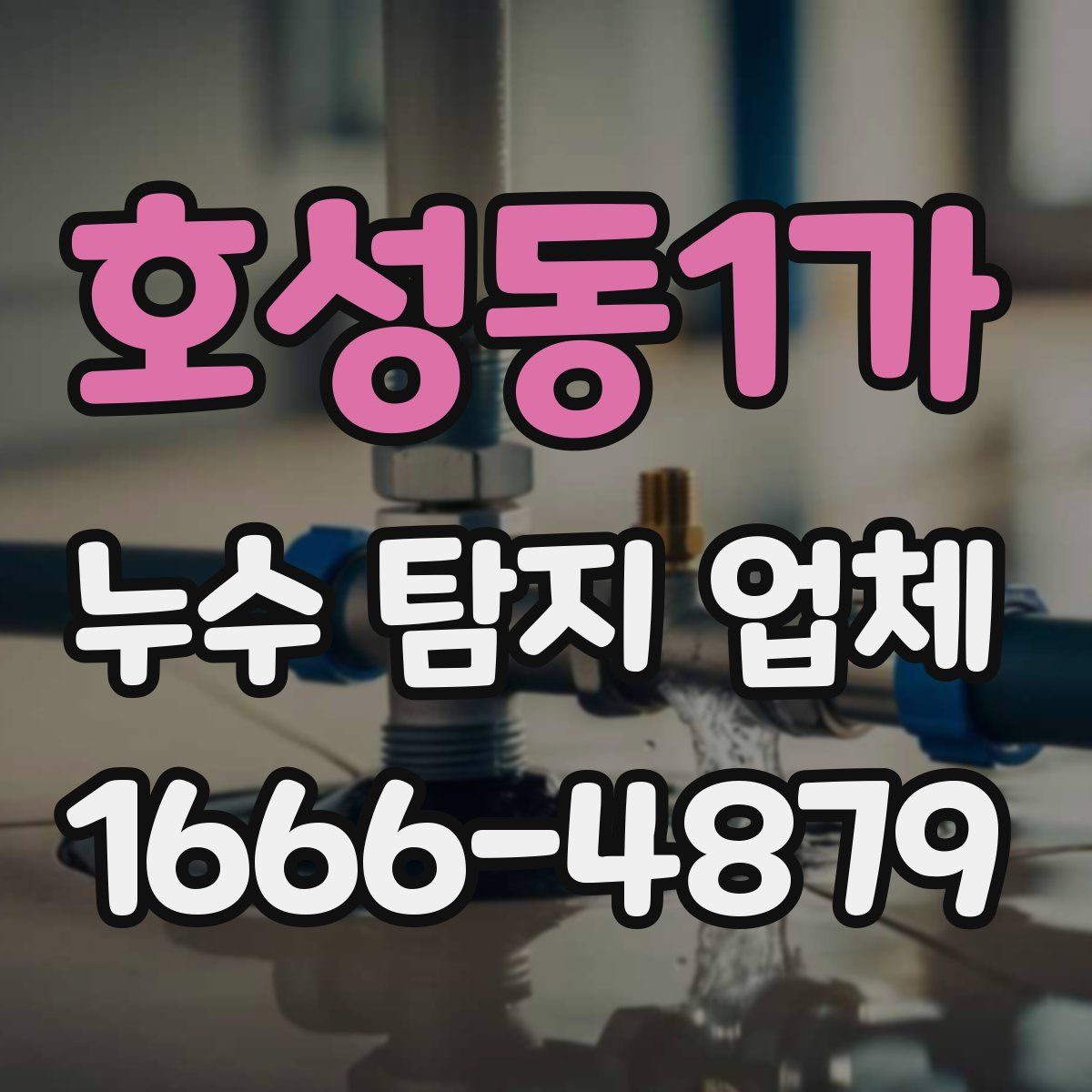 호성동1가 누수 탐지 업체