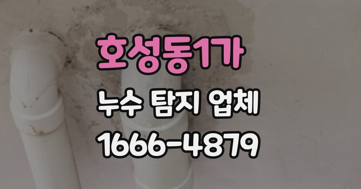 호성동1가 누수 탐지 업체