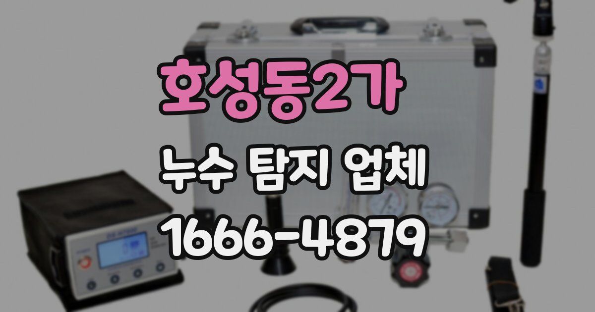 호성동2가 누수 탐지 업체