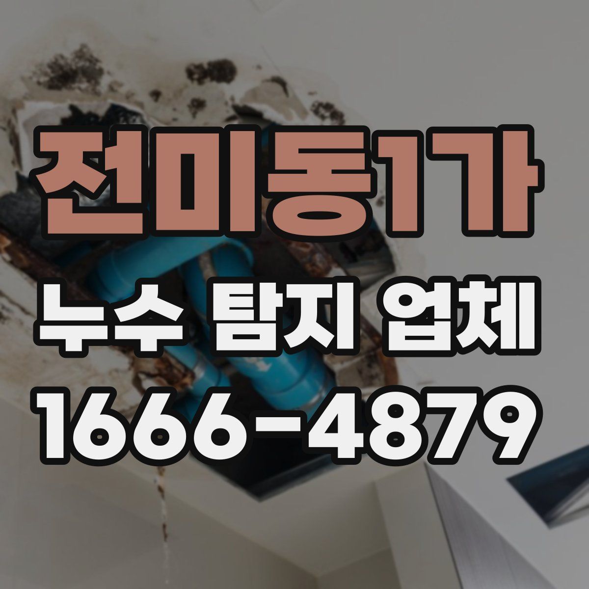 전미동1가 누수 탐지 업체