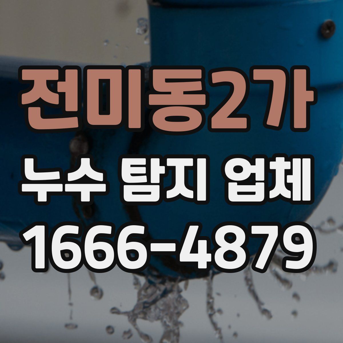 전미동2가 누수 탐지 업체