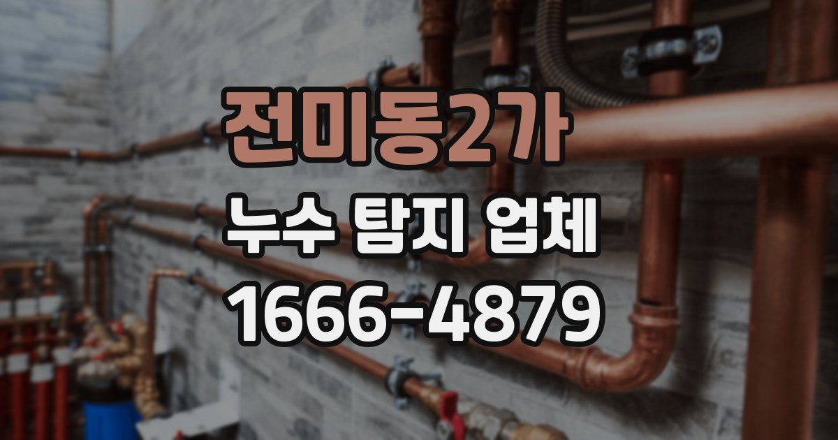전미동2가 누수 탐지 업체