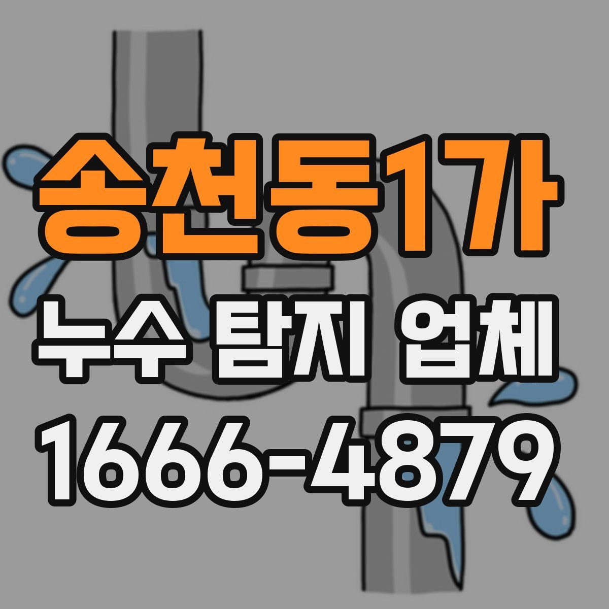 송천동1가 누수 탐지 업체