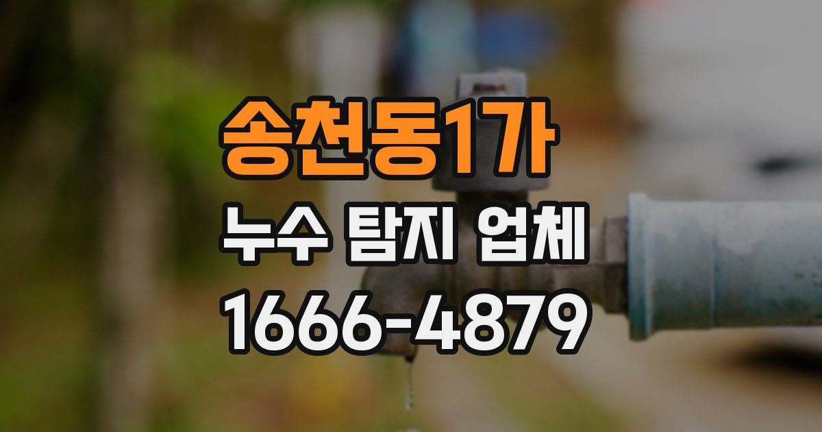 송천동1가 누수 탐지 업체