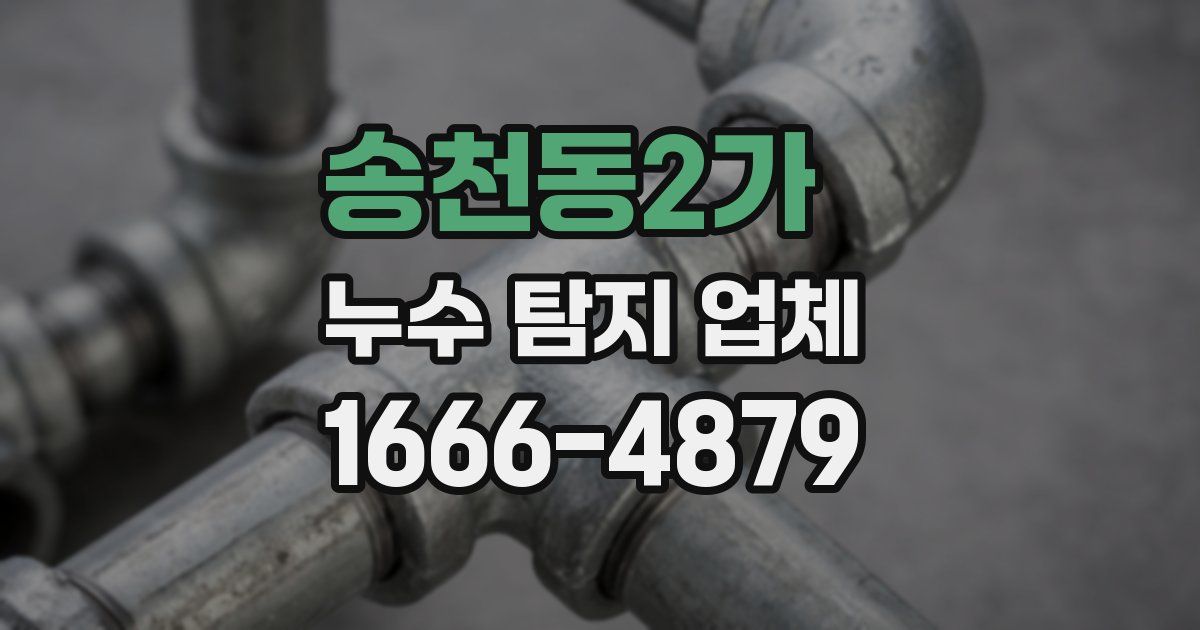 송천동2가 누수 탐지 업체