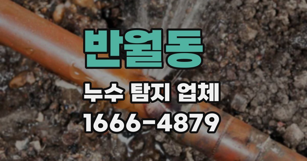 반월동 누수 탐지 업체