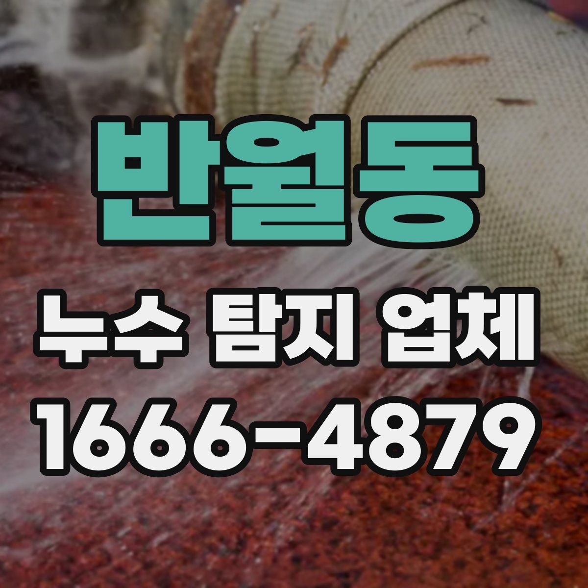 반월동 누수 탐지 업체