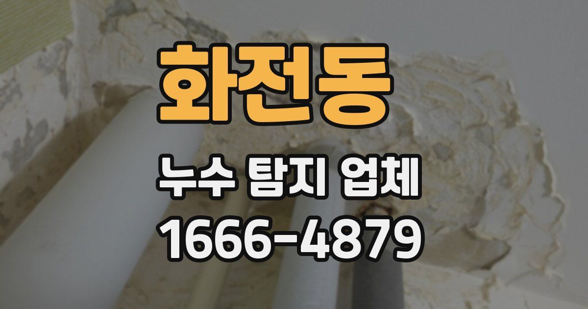 화전동 누수 탐지 업체