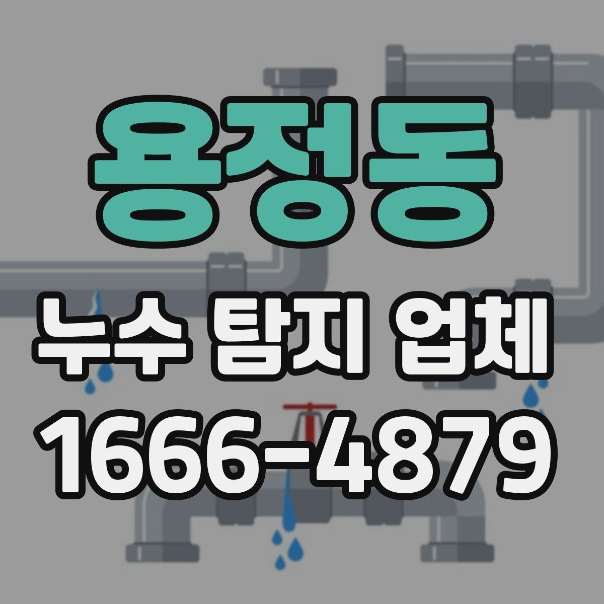 용정동 누수 탐지 업체