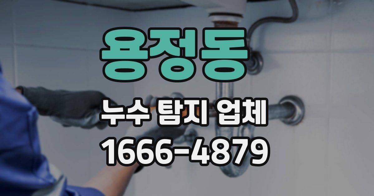 용정동 누수 탐지 업체