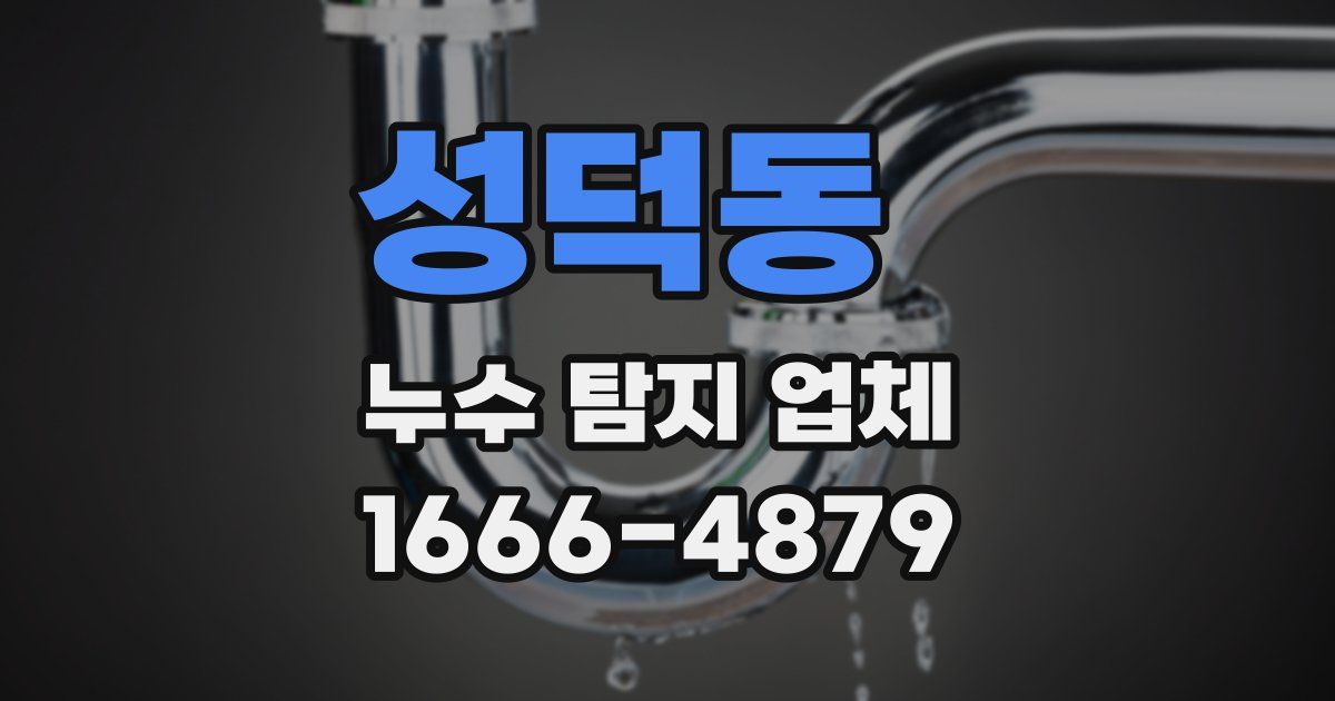 성덕동 누수 탐지 업체