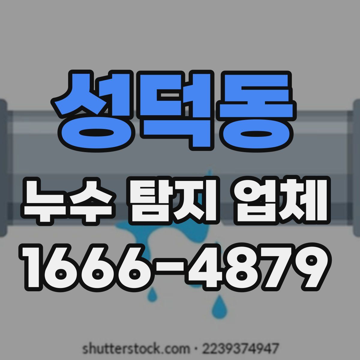 성덕동 누수 탐지 업체