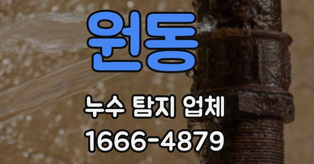 원동 누수 탐지 업체