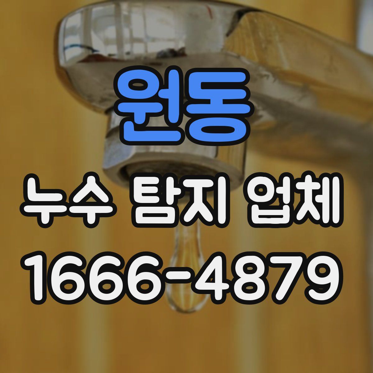 원동 누수 탐지 업체
