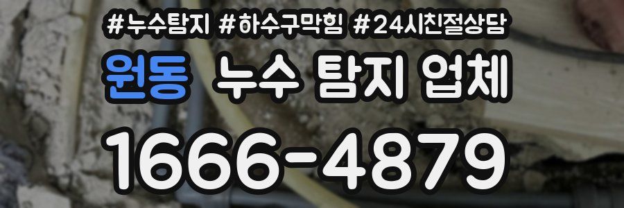 원동 누수 탐지 업체