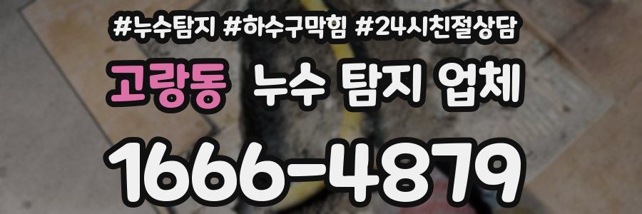 고랑동 누수 탐지 업체