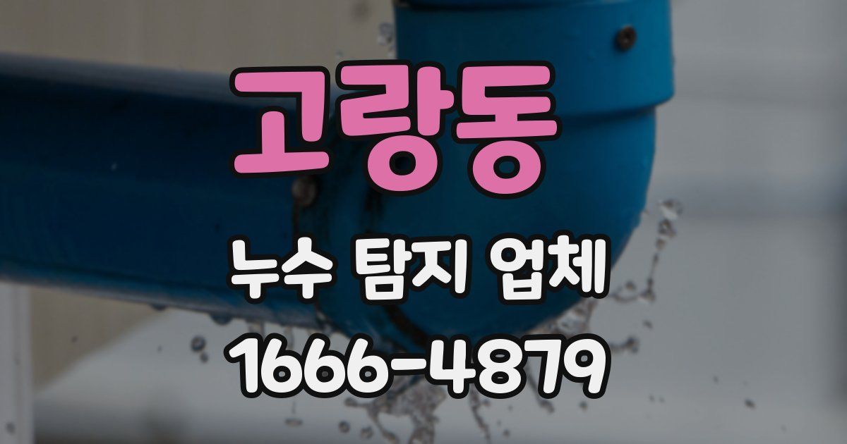 고랑동 누수 탐지 업체