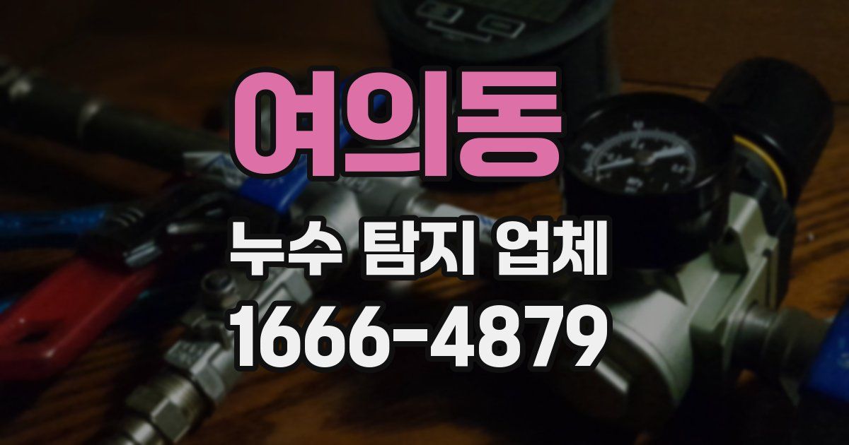여의동 누수 탐지 업체
