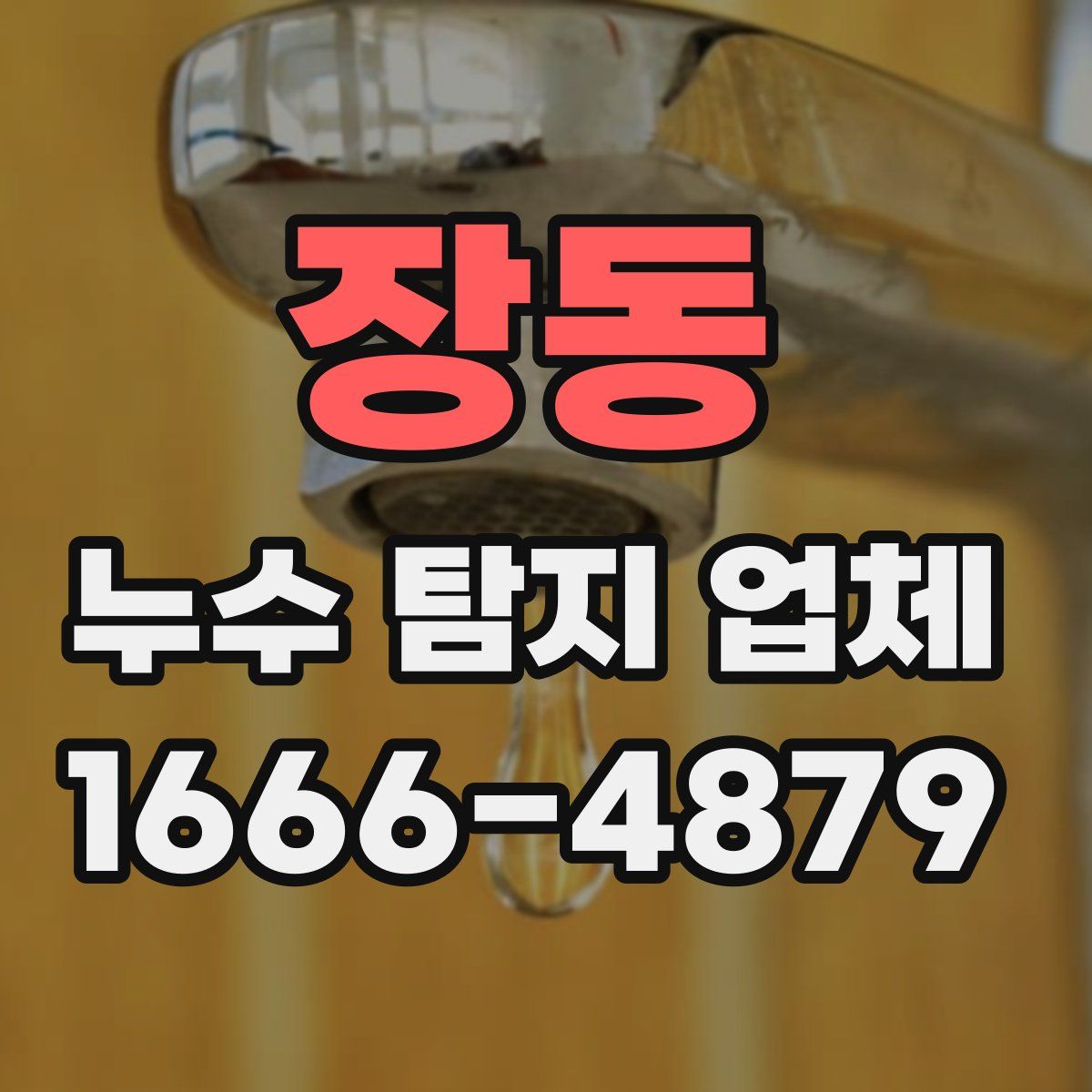 장동 누수 탐지 업체