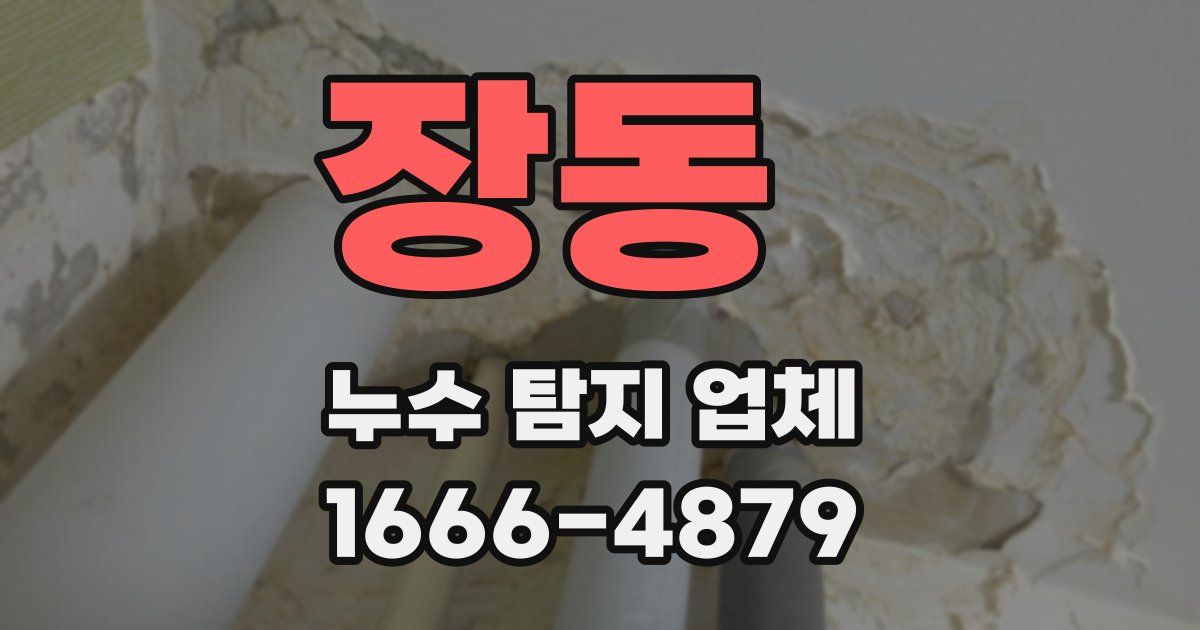 장동 누수 탐지 업체