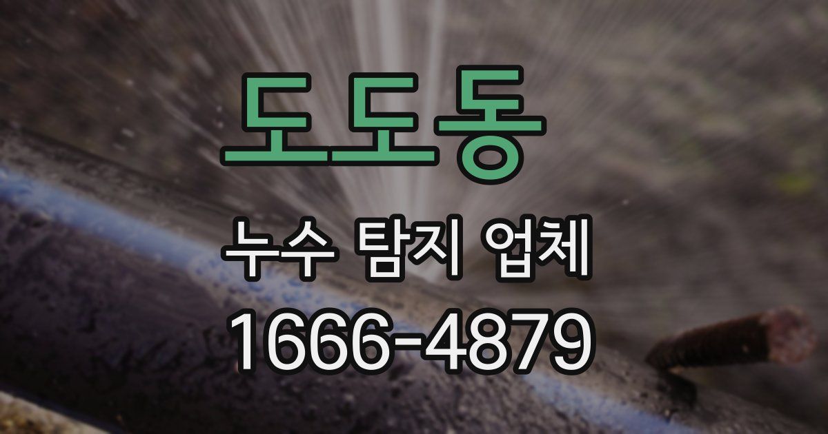 도도동 누수 탐지 업체