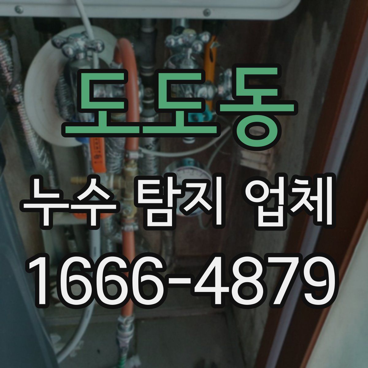 도도동 누수 탐지 업체