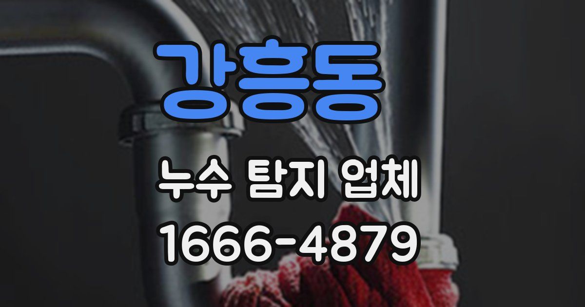 강흥동 누수 탐지 업체