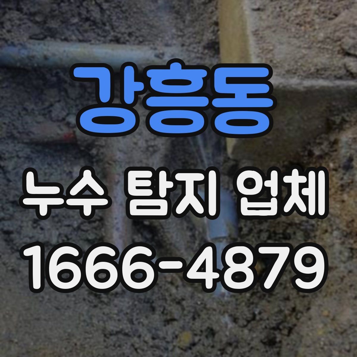 강흥동 누수 탐지 업체