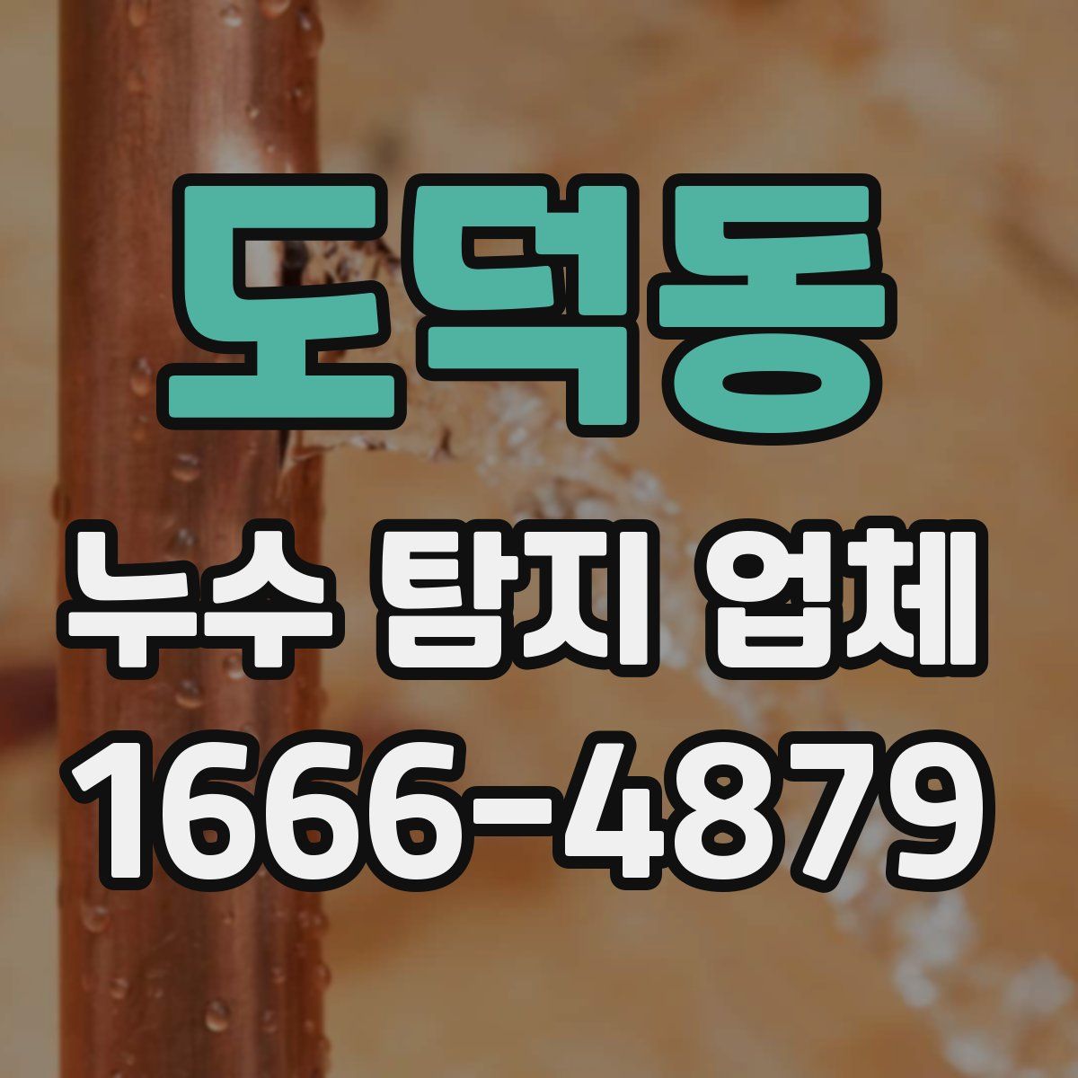 도덕동 누수 탐지 업체
