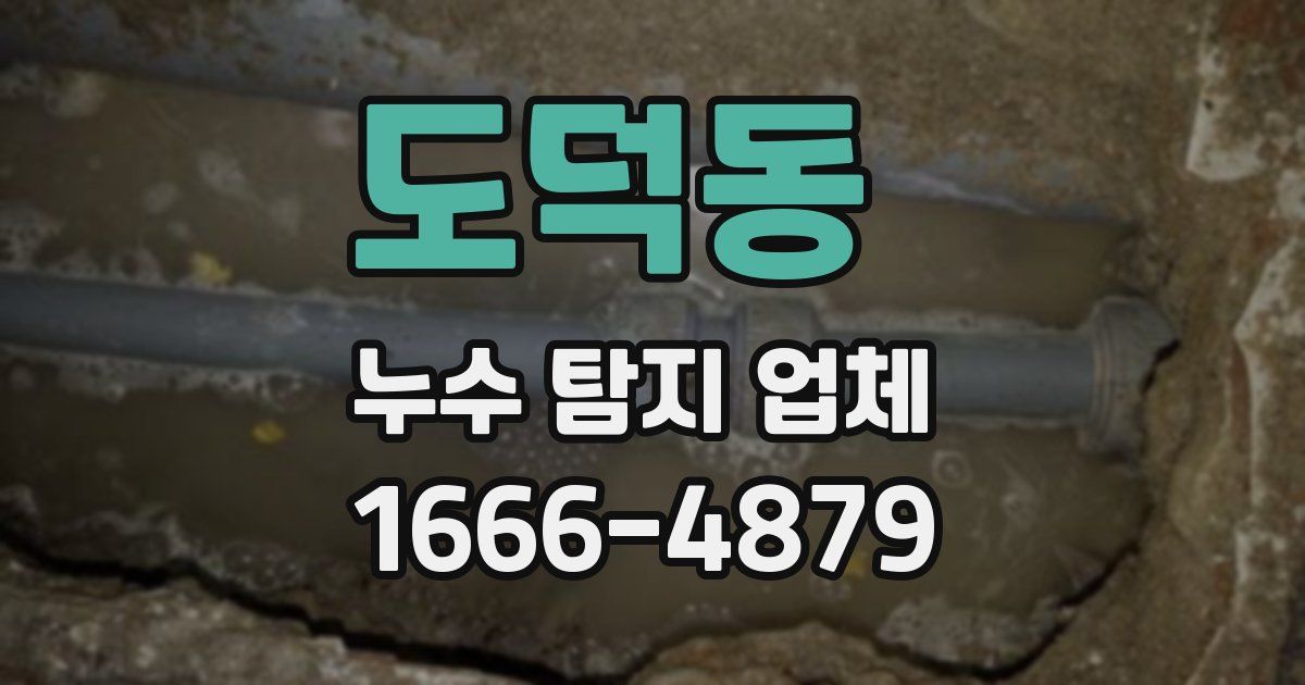 도덕동 누수 탐지 업체