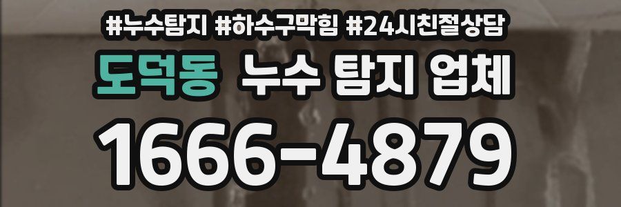 도덕동 누수 탐지 업체