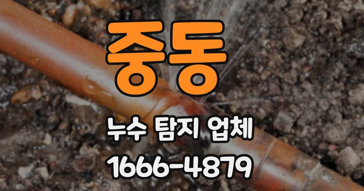 중동 누수 탐지 업체