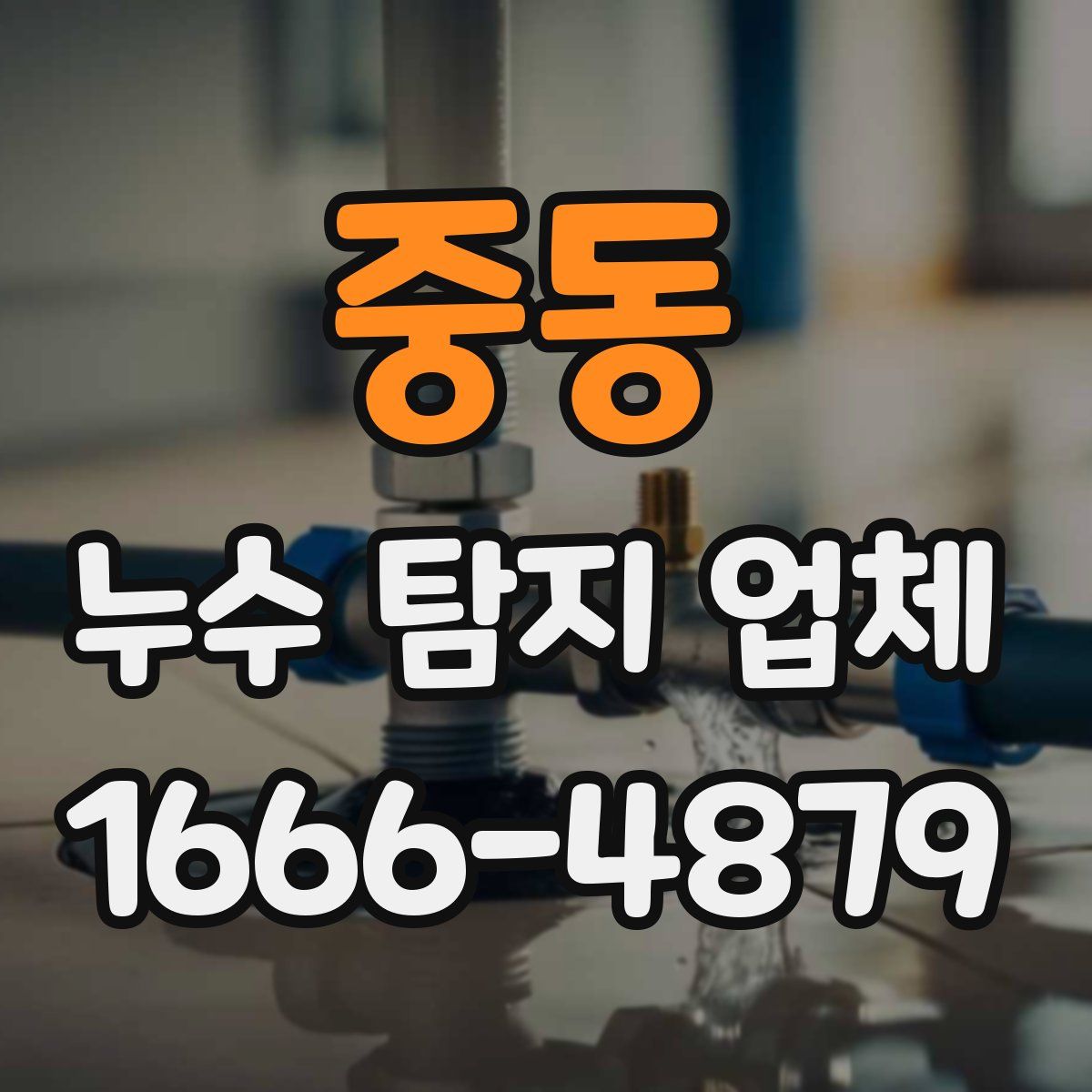 중동 누수 탐지 업체