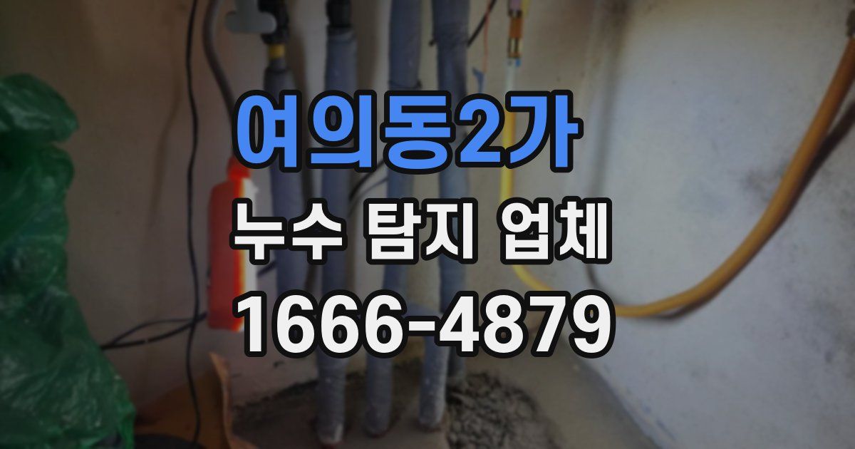 여의동2가 누수 탐지 업체