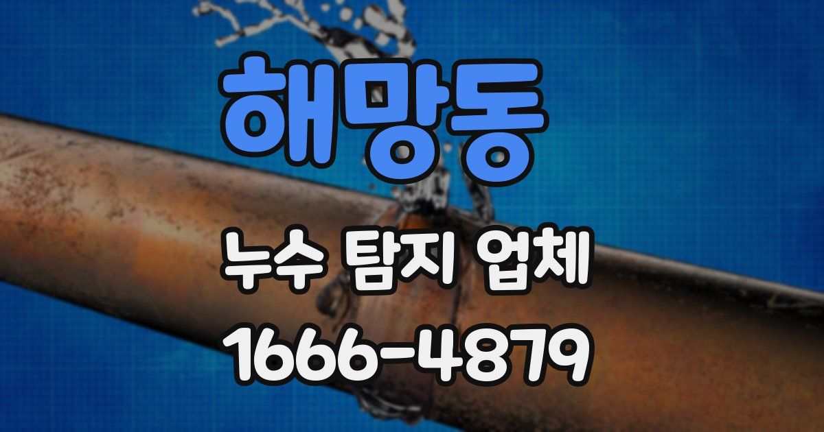 해망동 누수 탐지 업체