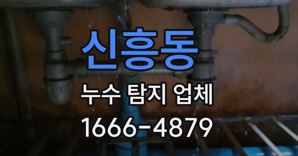 신흥동 누수 탐지 업체