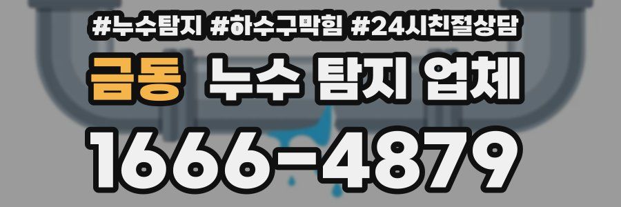 금동 누수 탐지 업체