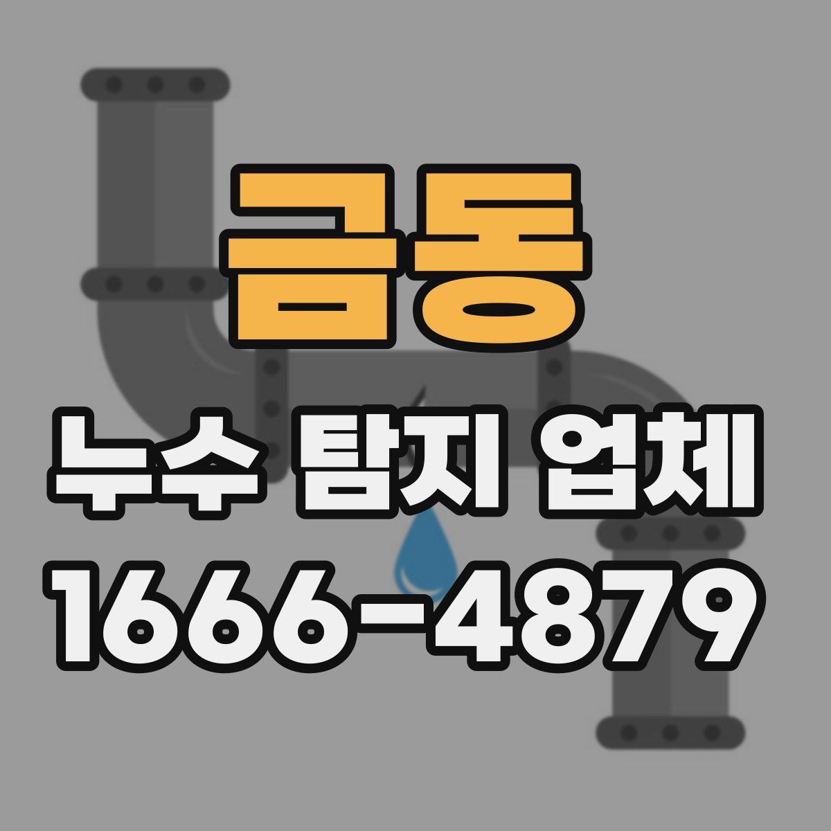 금동 누수 탐지 업체