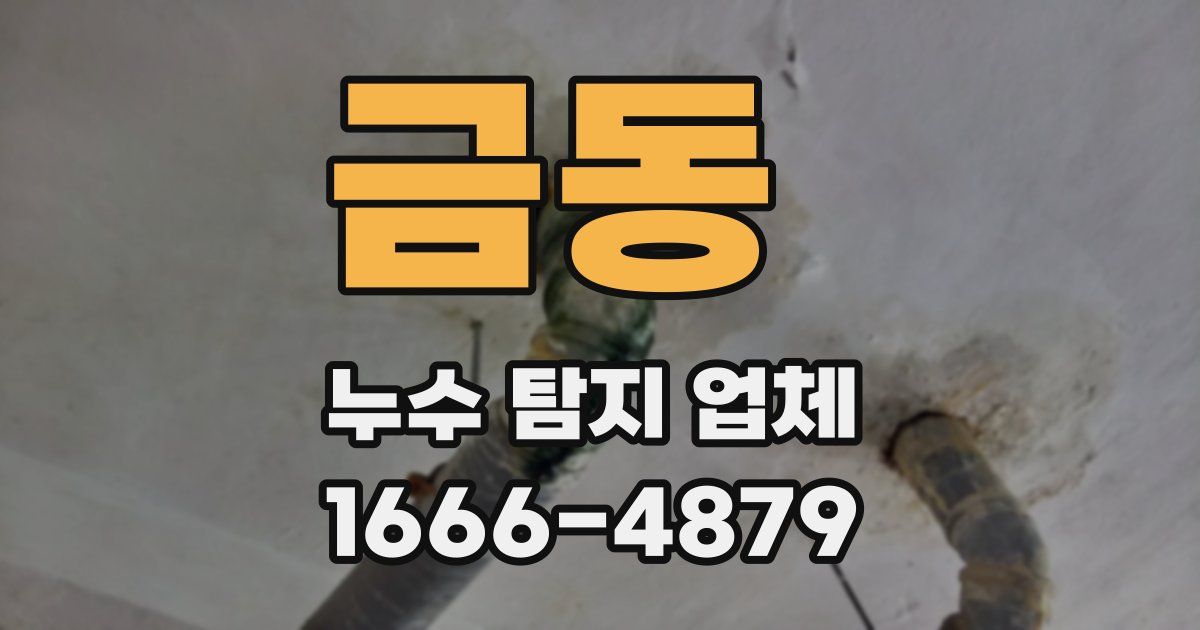 금동 누수 탐지 업체