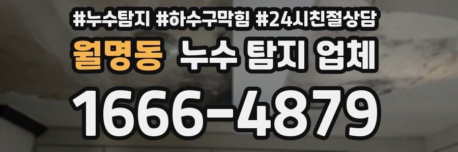 월명동 누수 탐지 업체
