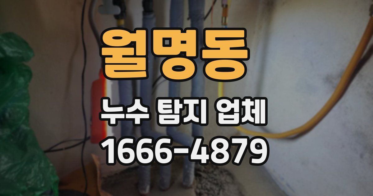 월명동 누수 탐지 업체