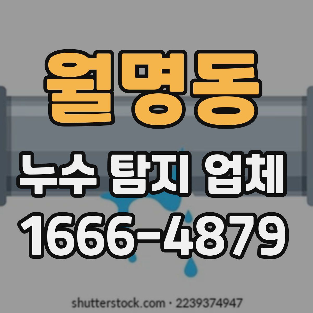 월명동 누수 탐지 업체