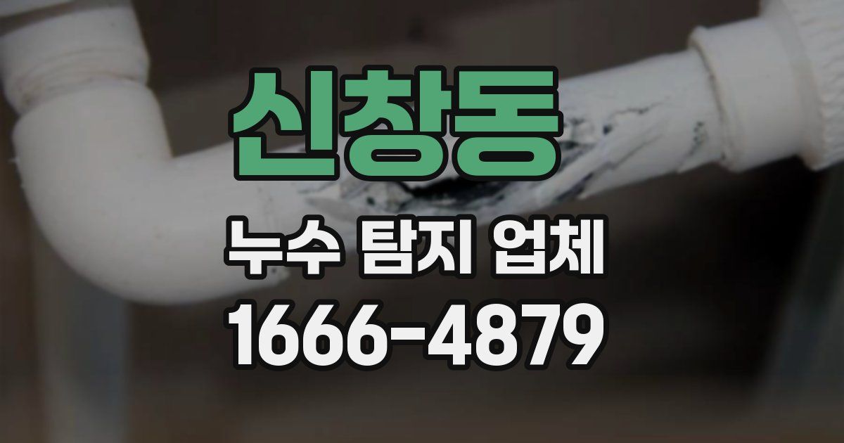 신창동 누수 탐지 업체
