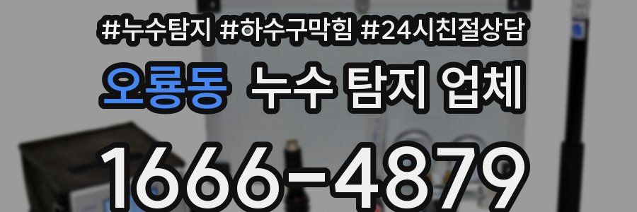 오룡동 누수 탐지 업체