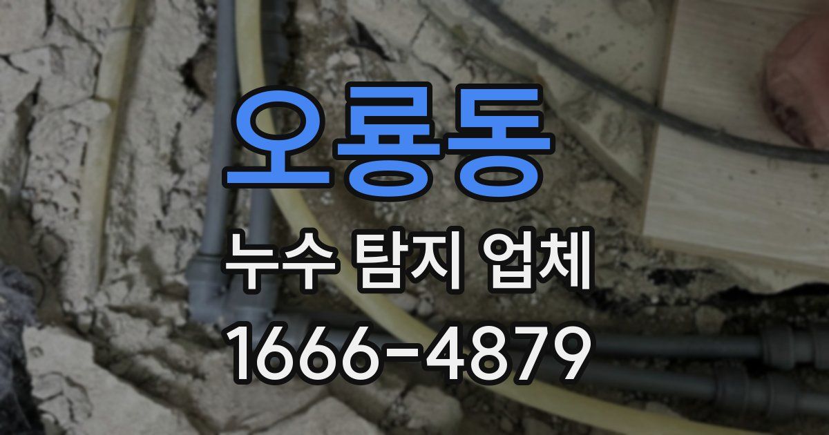 오룡동 누수 탐지 업체