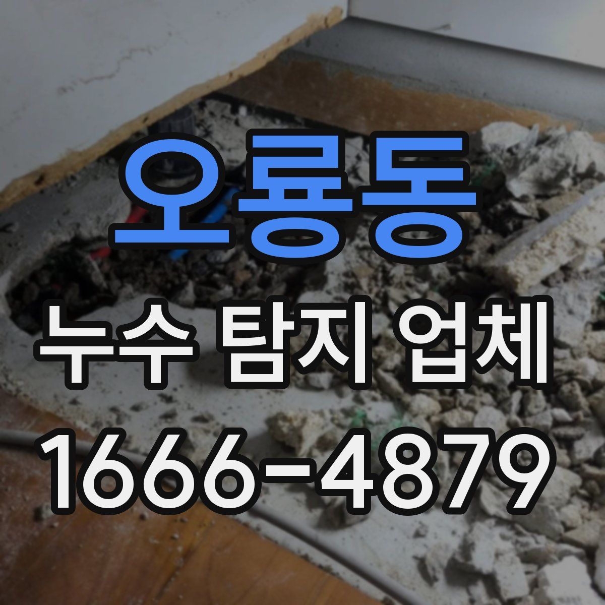 오룡동 누수 탐지 업체