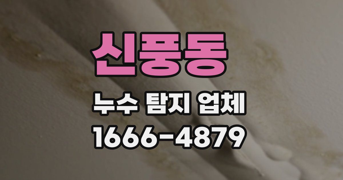 신풍동 누수 탐지 업체