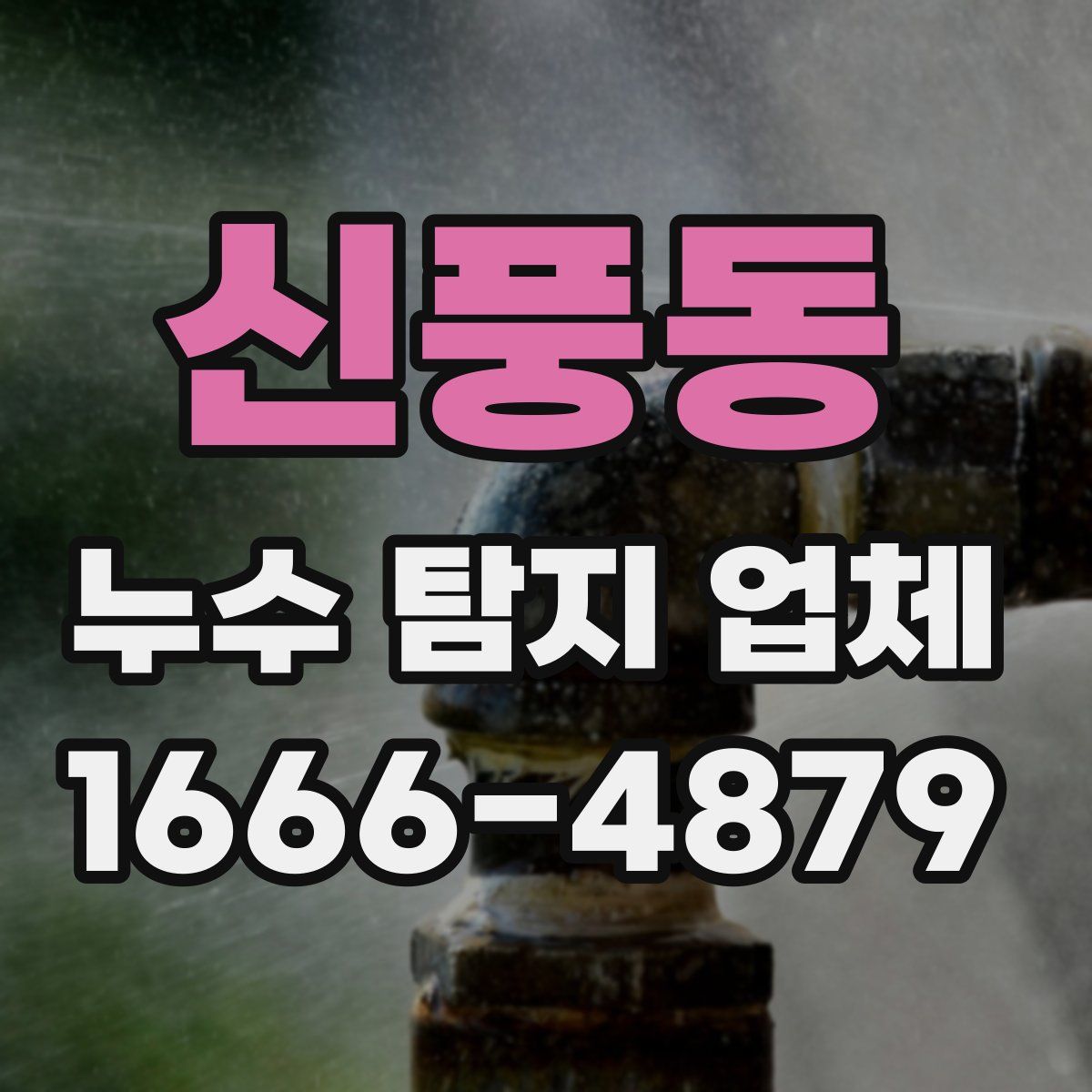 신풍동 누수 탐지 업체