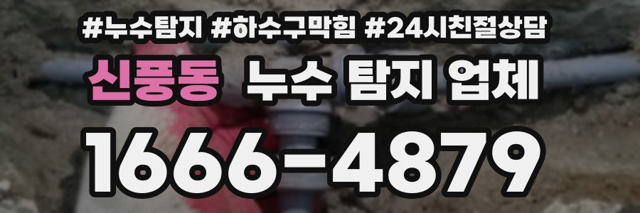 신풍동 누수 탐지 업체