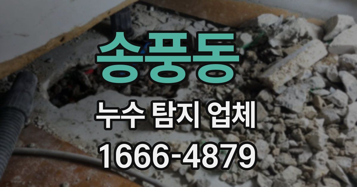 송풍동 누수 탐지 업체